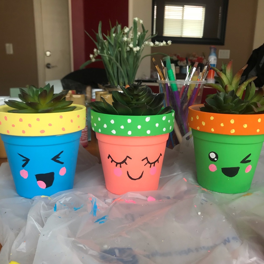 Kawaii succulent planters